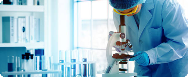 Auto Component Manufacturers